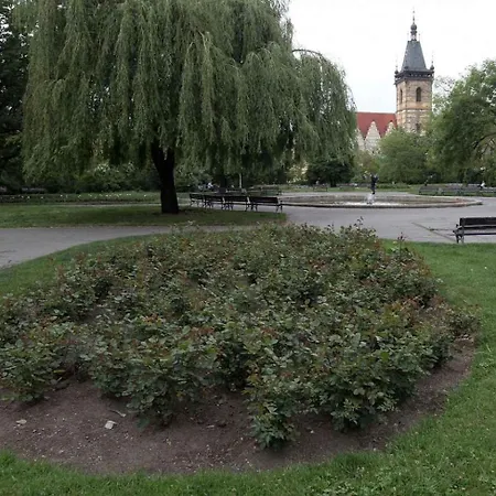 Apartment Cosy On Charles Square Prague